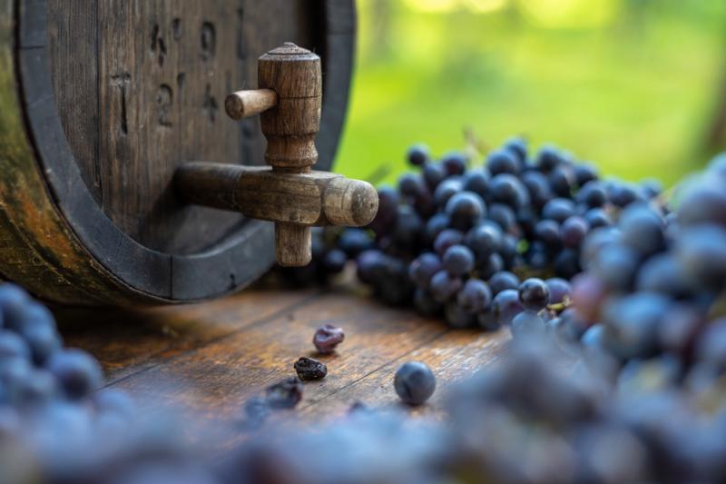 Rote Cabernet Franc Beeren