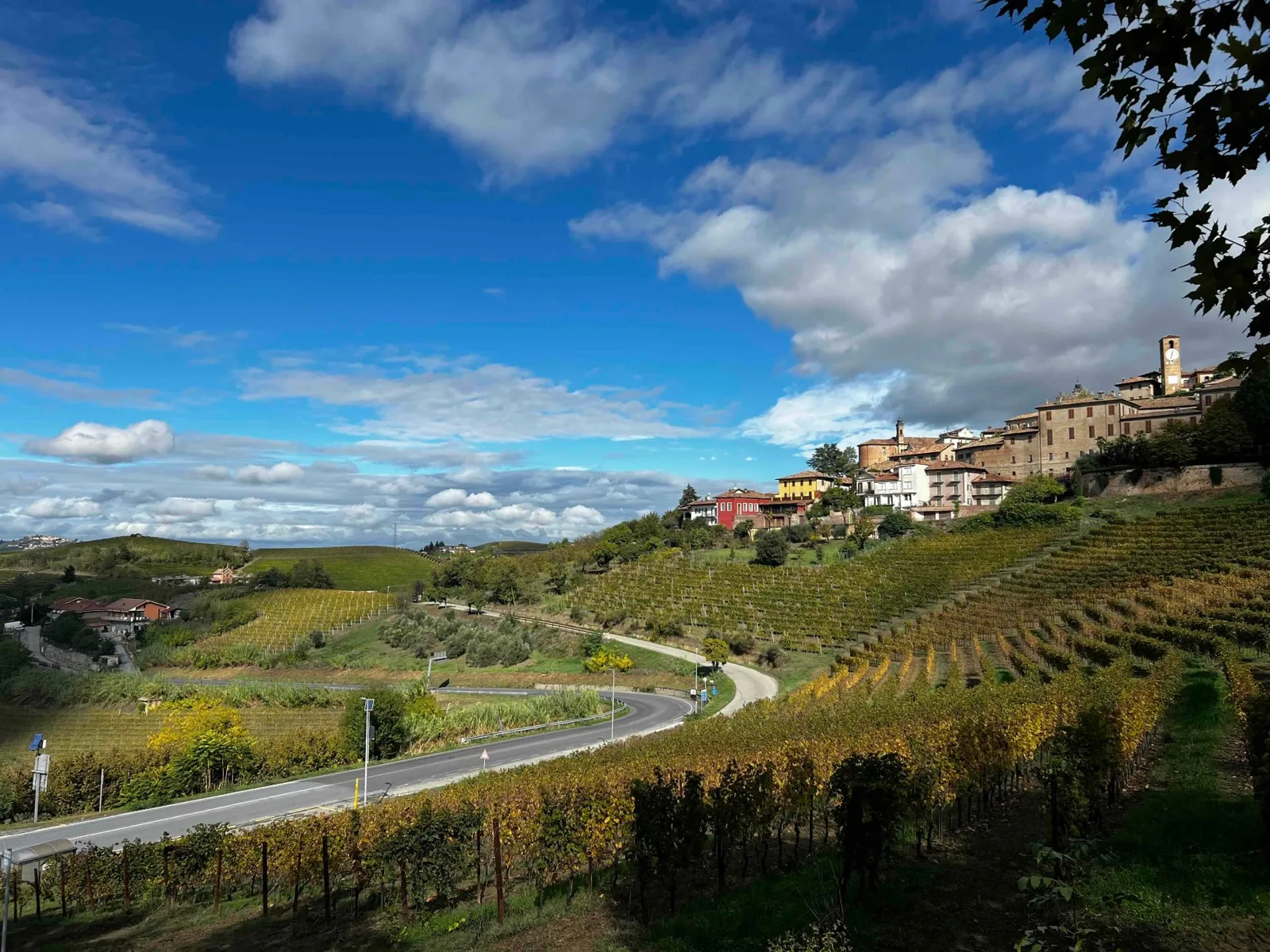 Weinberge und ein Ort auf einem Hügel unter blauem Himmel.